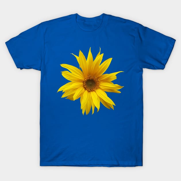 Sunflower - fall flower photograph T-Shirt by EmilyBickell